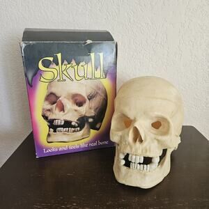 Vintage Halloween Skull Blow Mold Hinged Moveable Jaw Paper Magic Group